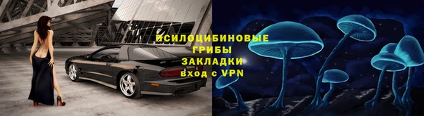 СК Абдулино