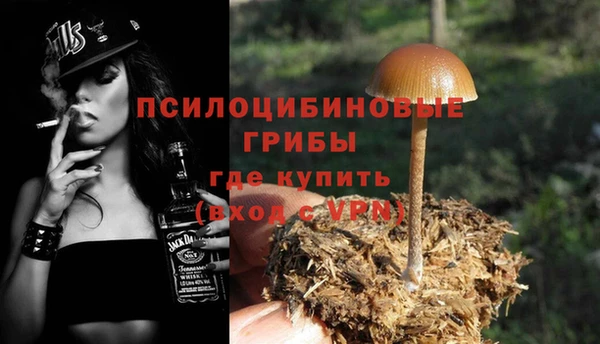 первитин Абаза